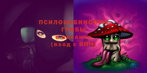 стафф Абаза