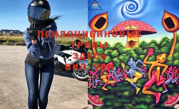 дмт Абинск