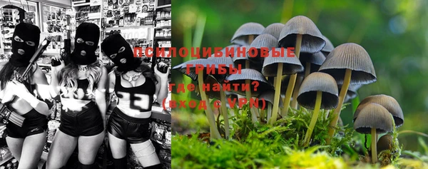 стафф Абаза