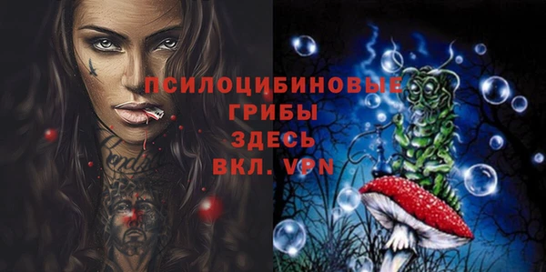 стафф Абаза