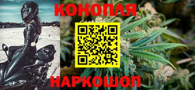 шишки Северобайкальск