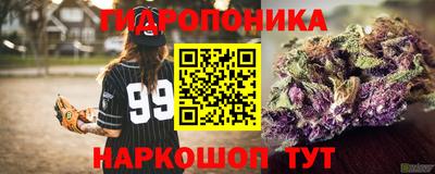 шишки Северобайкальск