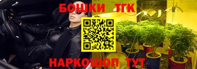 шишки Северобайкальск