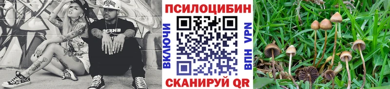 Галлюциногенные грибы мухоморы  Саки 