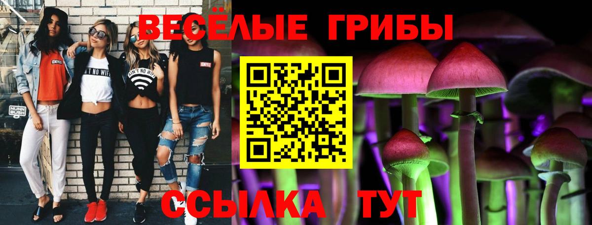 Галлюциногенные грибы GOLDEN TEACHER Саки