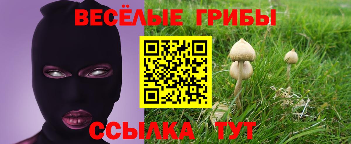 Саки  Псилоцибиновые грибы прущие грибы  Вход с VPN 